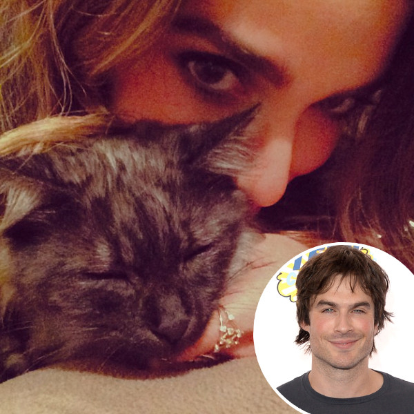 Nikki Reed, Ian Somerhalder, Cat, Instagram Nikki Reed, Ian Somerhalder, Cat, Instagram